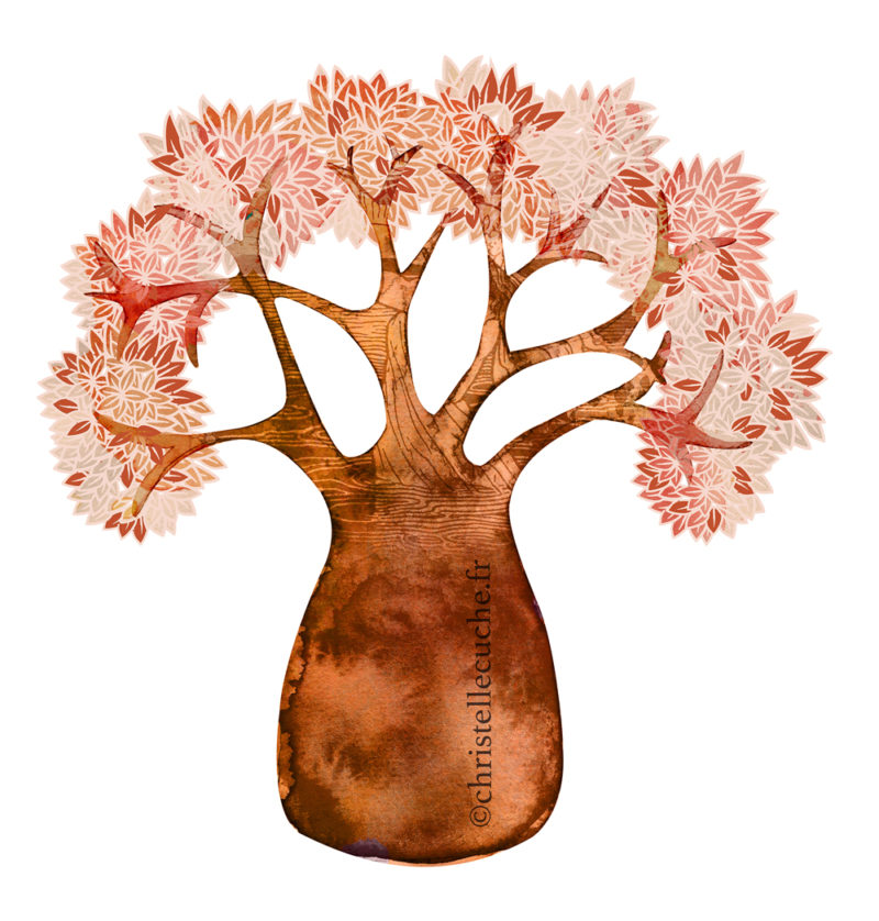 Arbre baobab-Dessins Christelle cuche