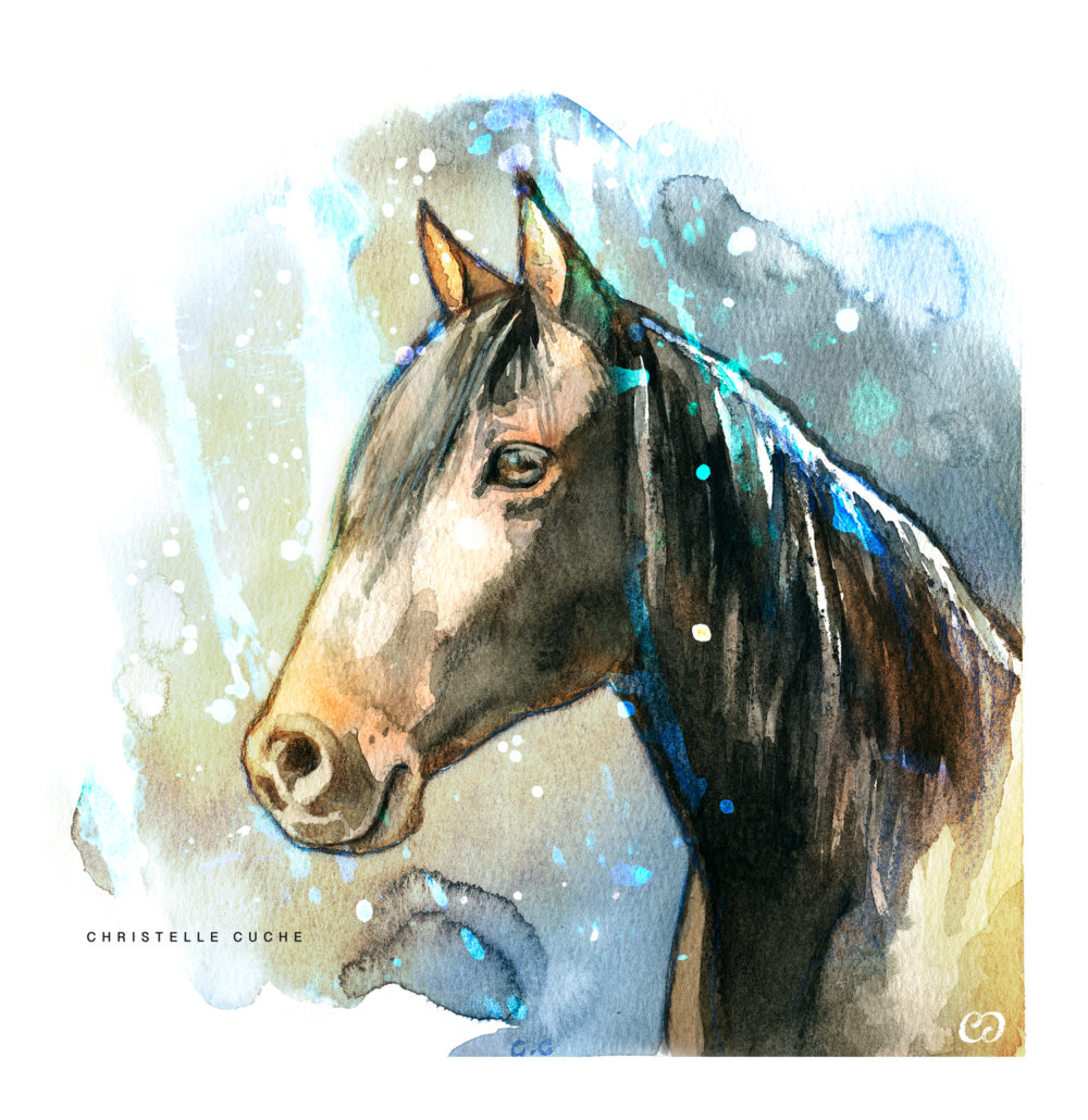 Portrait cheval aquarelle