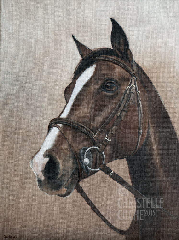 Portrait cheval peinture / Vendu Portrait tête cheval peinture