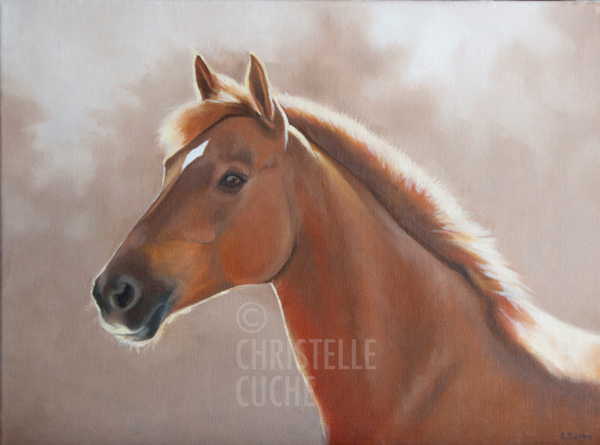 Portrait tête cheval peinture